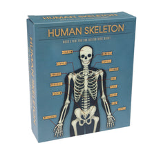 Load image into Gallery viewer, Make Your Own Glow in the Dark Skeleton Magnet
