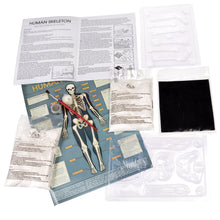 Load image into Gallery viewer, Make Your Own Glow in the Dark Human Skeleton Magnet
