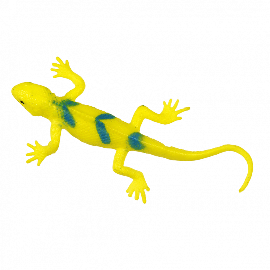 Super Stretchy Gecko – Culture North Yorkshire