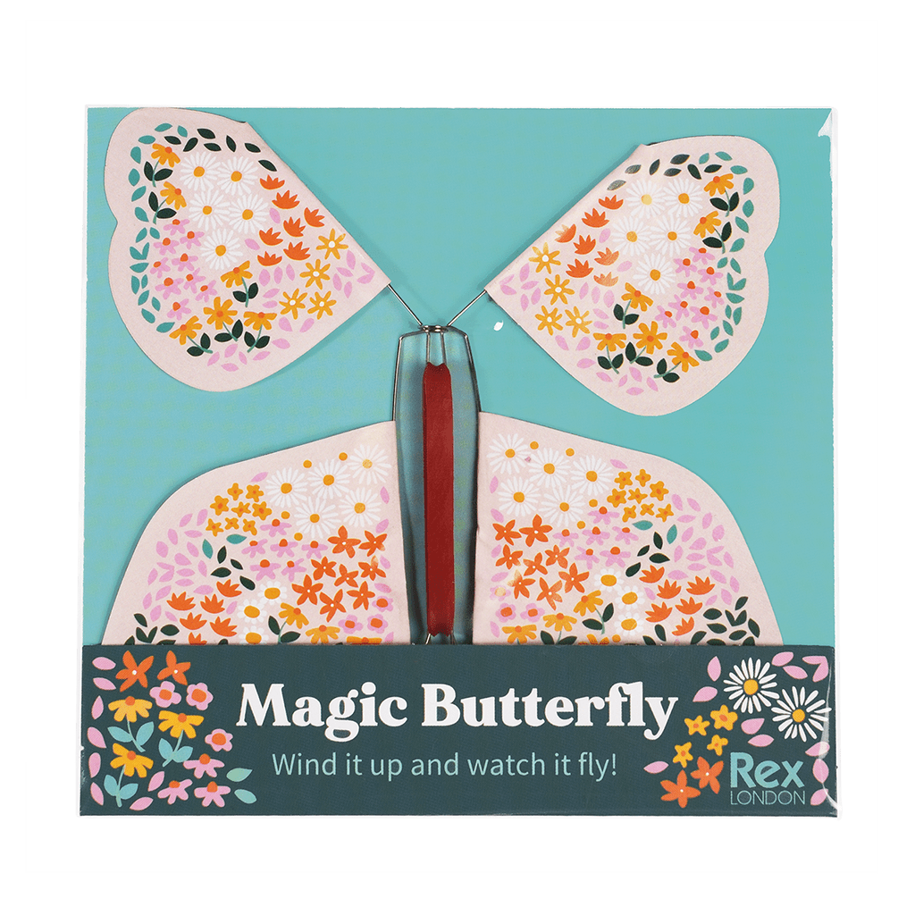 Magic Butterfly – Culture North Yorkshire